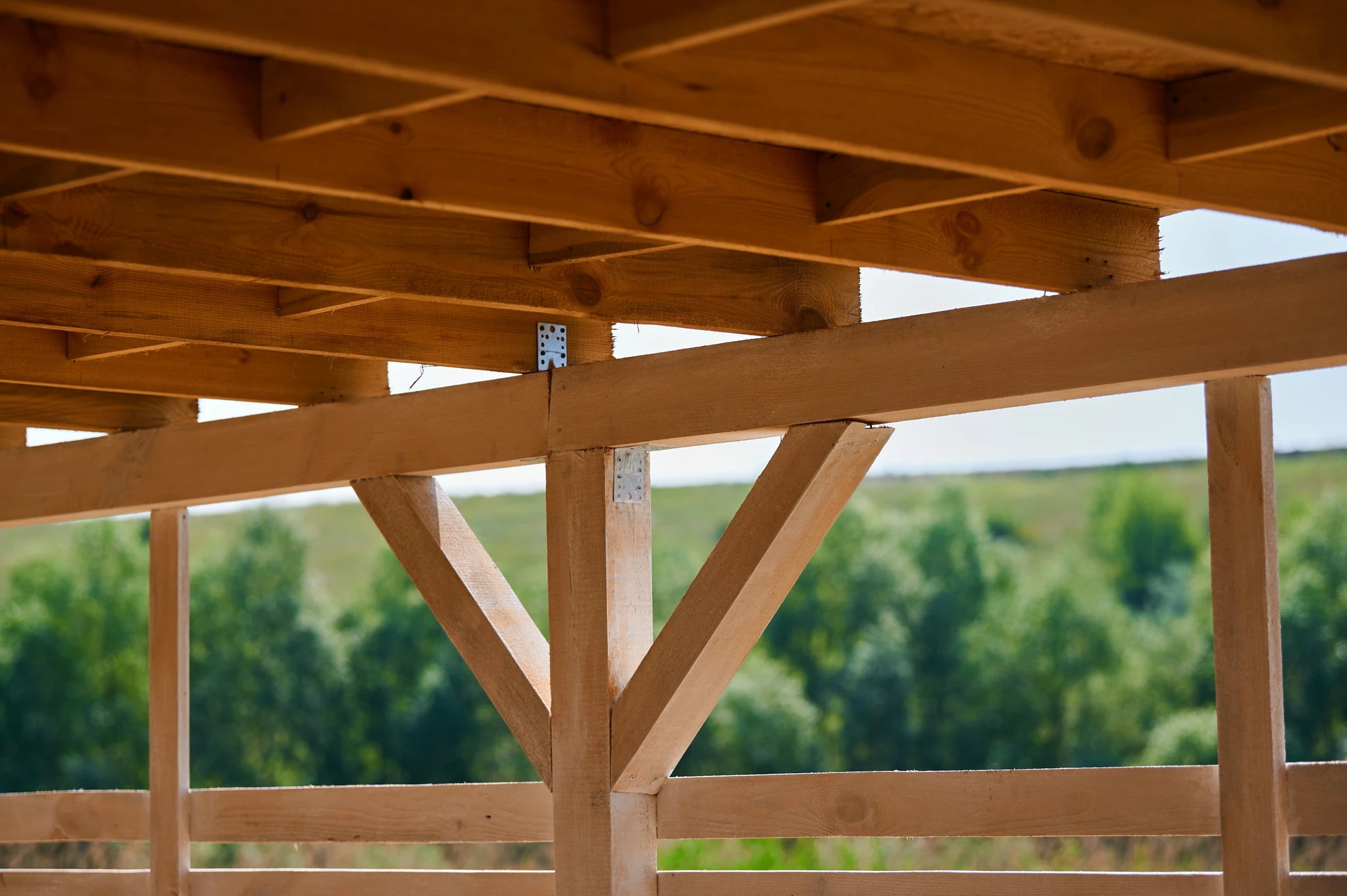 Intérieur d'une construction en bois avec charpente apparente, poutres et lambris